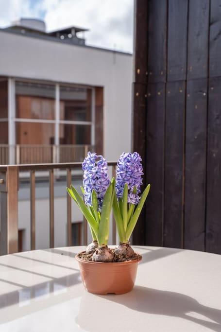 New Loft With Rooftop Terrace In The Old Town Рига Экстерьер фото